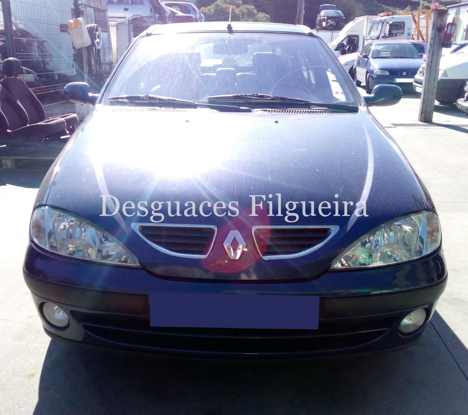 Despiece Renault Megane 1. 9 DTI F9Q 744 - Imagen 1