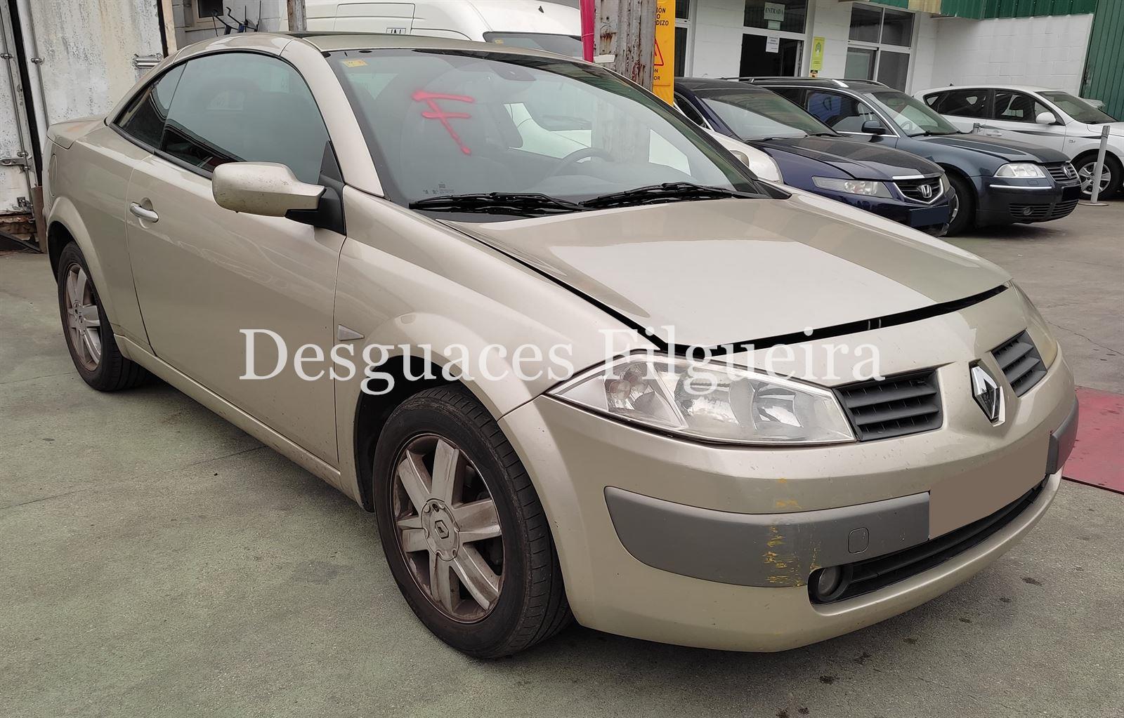 Despiece Renault Megane coupe cabrio 1.9 dci - Imagen 2