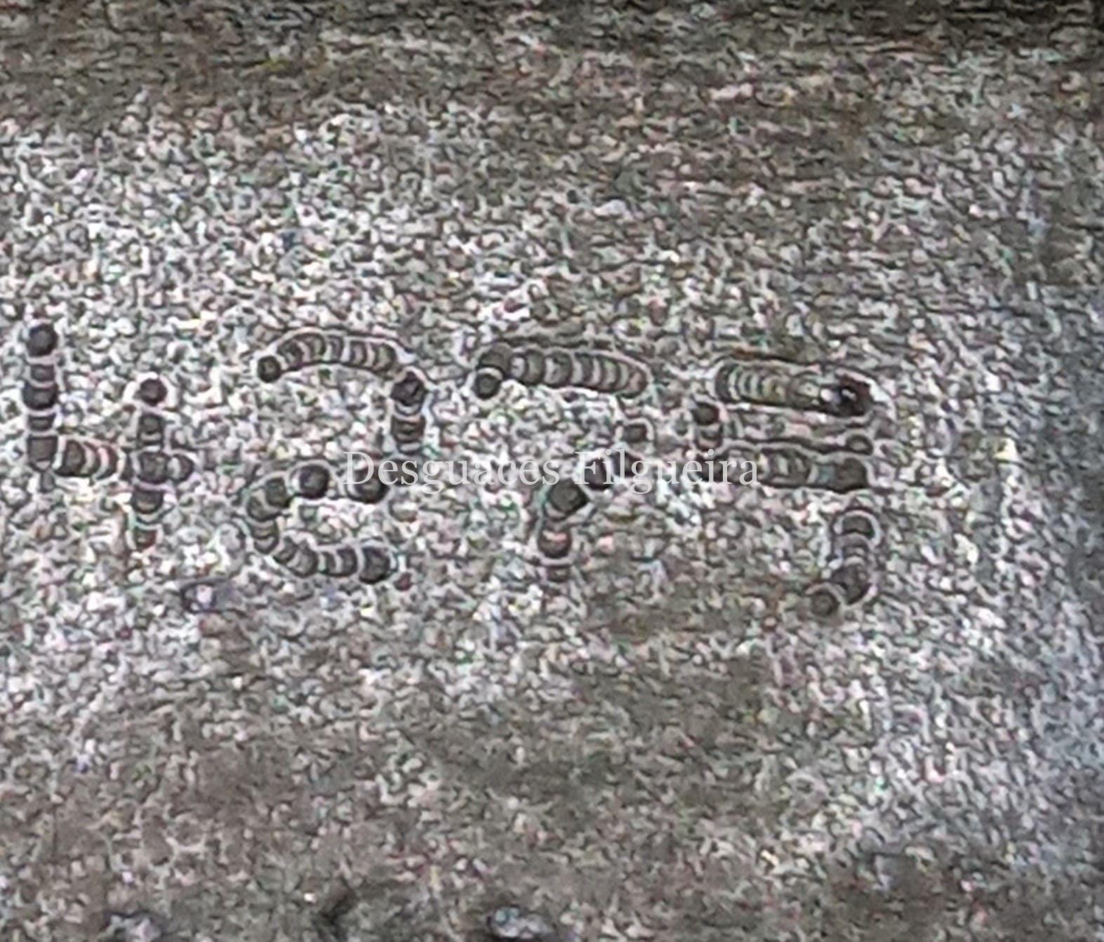 Grupo diferencial trasero de Mercedes-Benz Clase ML 4.0 400 CDI, 250 cv, código de motor: OM 628.963, añó 2003. - Imagen 4