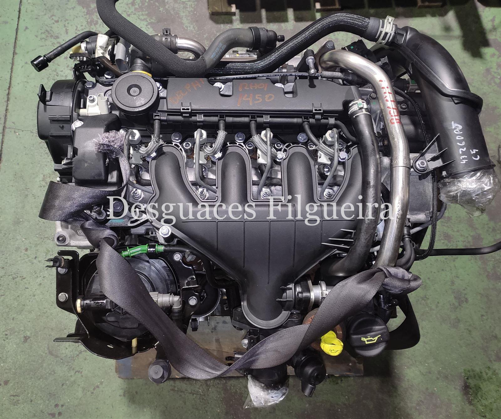Motor completo Citroen C5 Tourer 2.0 HDI RH01 Delphi - Imagen 1