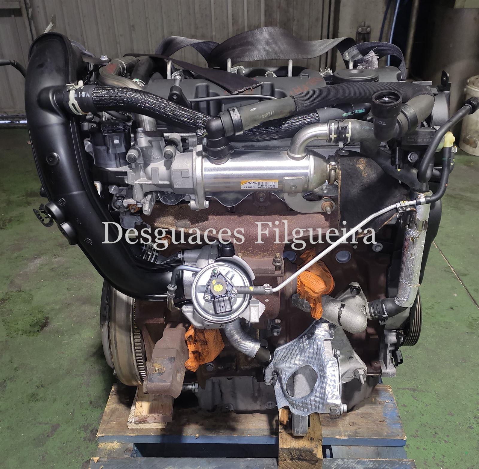 Motor completo Citroen C5 Tourer 2.0 HDI RH01 Delphi - Imagen 4