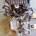 Motor completo Mercedes Clase A W168 170 CDI 668942 - Imagen 1