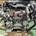 Motor completo Peugeot 206+ 1.4 HDI 8HZ Bosch - Imagen 2