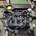 Motor completo Rover 75 2. 0 CDTI 204D2 224664008 - Imagen 1