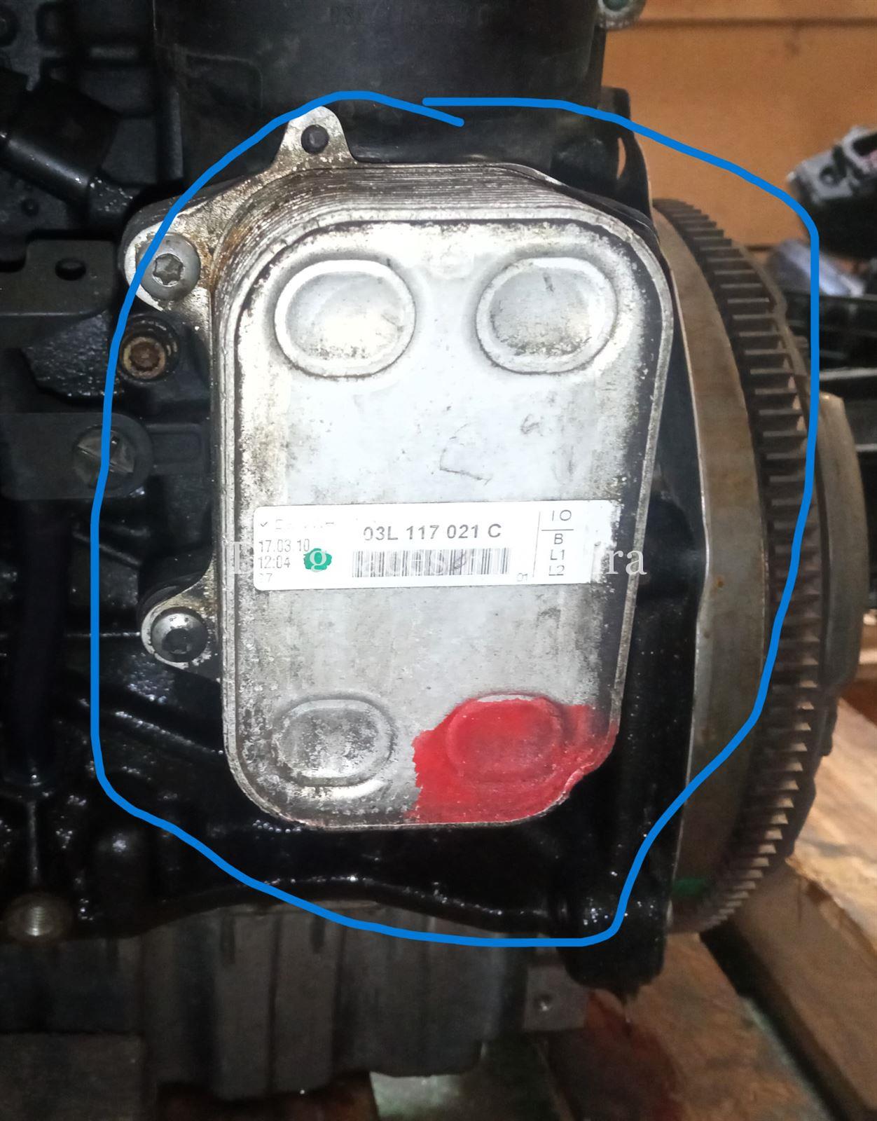 Motor de Volkswagen Golf VI, 1.6 TDI, 106 cv, código de motor CAY, año 2010. - Imagen 3