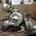 Turbo Audi A3 1.9 TDI AXR 038253016N - Imagen 2