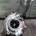 Turbo Audi A6  3.0 TDI BMK SIN PULMON 059145702H - Imagen 1