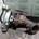 Turbo Iveco Daily 35C11 8140.43C - Imagen 1