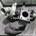 Turbo Lancia Phedra 2.2 JTD 4HW GT1549R 707240-0001 - Imagen 2
