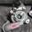 Turbo Peugeot 308 1.6 HDI 9HP - Imagen 1